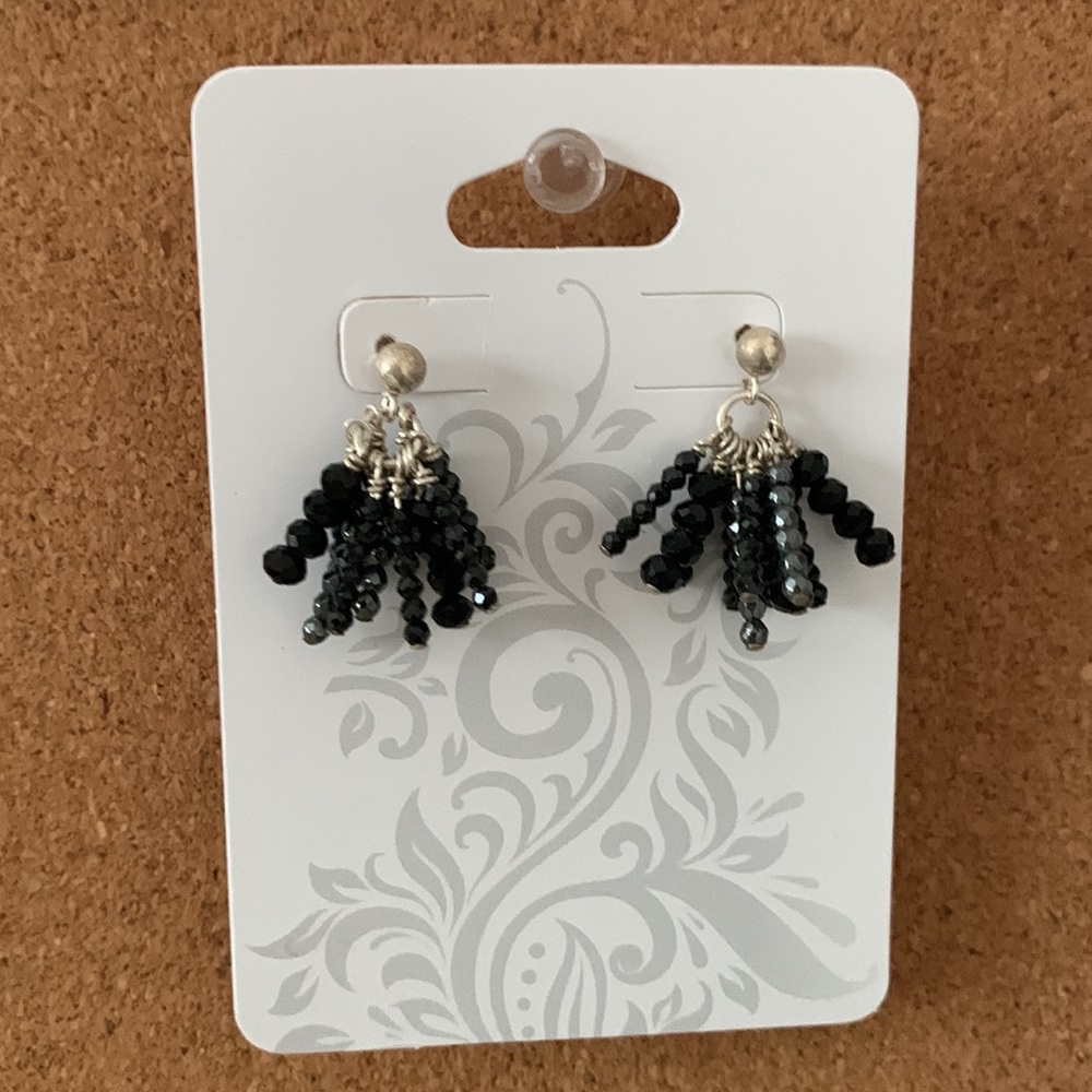 Beautiful Beads Earrings